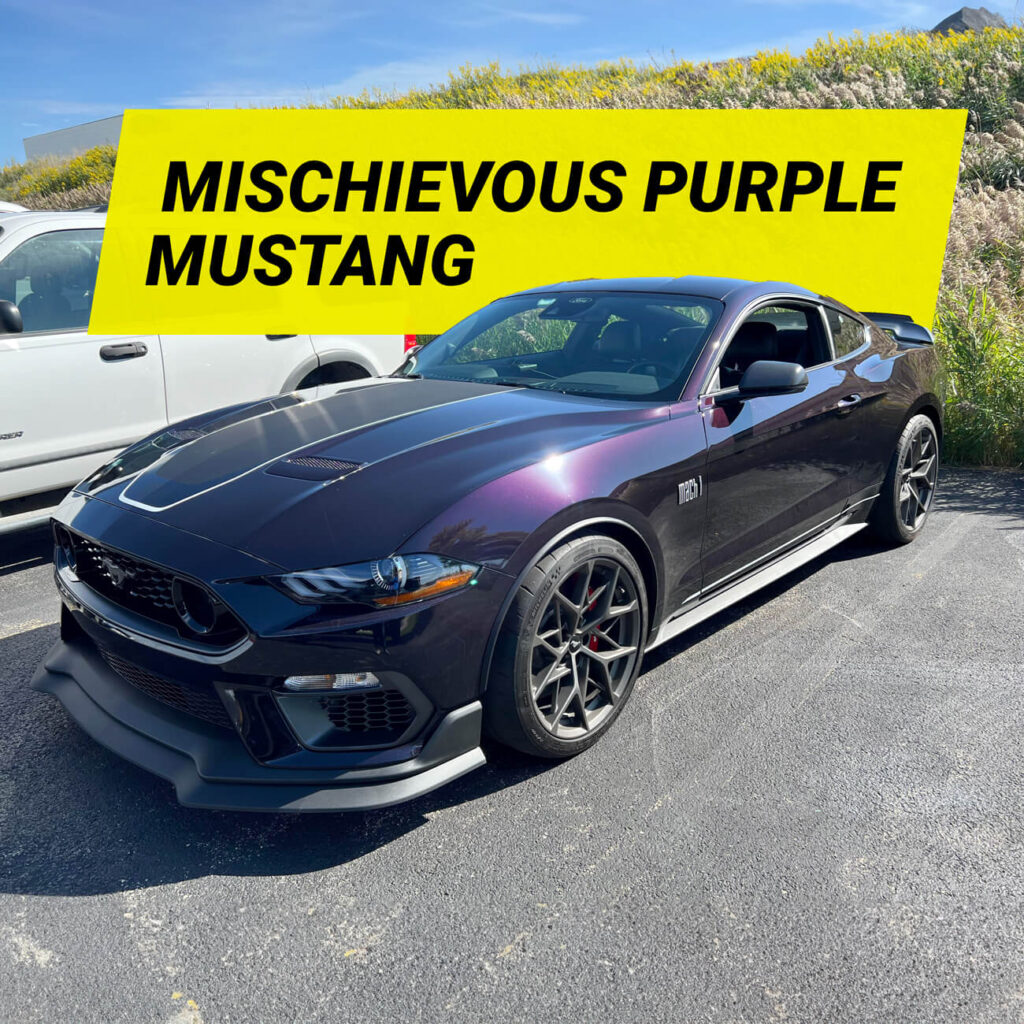 2022 Mischievous Purple Mustang