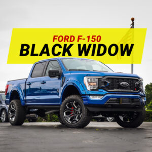 Black Widow Truck Ford F-150